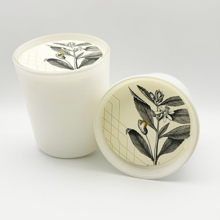 Cardamom & Black Tea Candle in Goldleaf Design